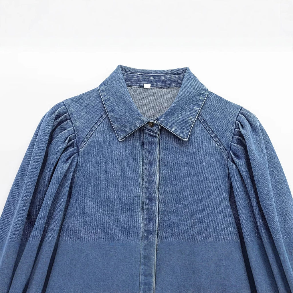 Wholesale Women's Elegant Solid Color Long Sleeve Blouses - view 4