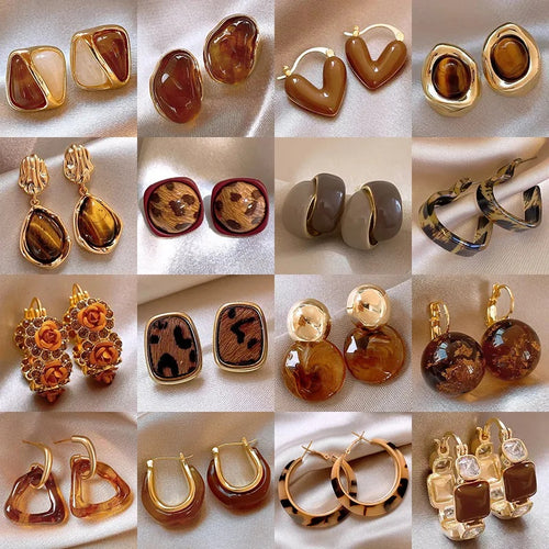 1 Pair Elegant Retro Geometric Leopard Alloy Resin Drop Earrings Ear Studs - front view
